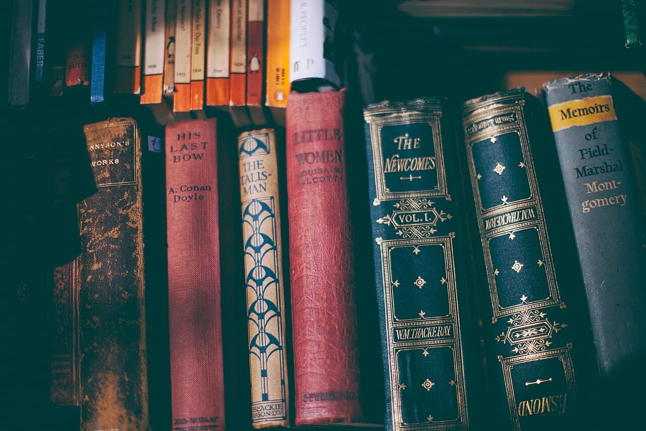Rows of books and source material on a wooden shelf